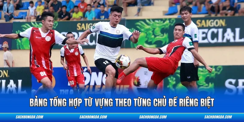 Bảng tổng hợp từ vựng theo từng chủ đề riêng biệt