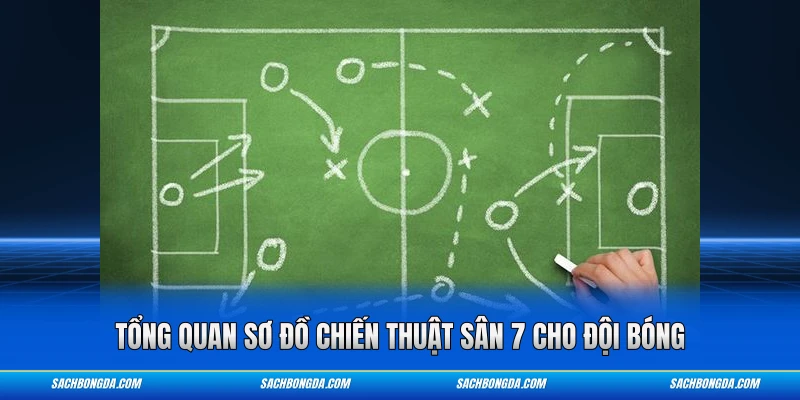 Tổng quan sơ đồ chiến thuật sân 7 cho đội bóng