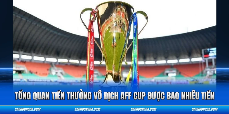 Tổng quan tiền thưởng vô địch AFF Cup được bao nhiêu tiền